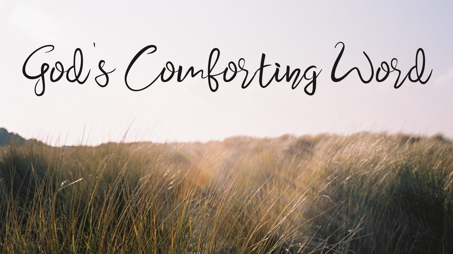 God's Comforting Word Archives New Song Church